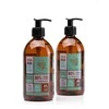 Theophile Berthon Peppermint veido ir kūno prausiklis 500 ml