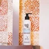 Theophile Berthon Repairing Šampūnas Shea Powder šampūnas 240 ml