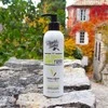 Theophile Berthon Verbena Citrus kūno losjonas 240 ml