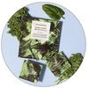 Vitamasques Super Žalias Detox veido kaukė