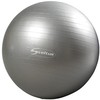 Gimnast. kamuolys GYMBALL 65cm pilkas+pakuotė