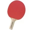 Dunlop Stalo teniso raketė BT10 pradedantiesiems