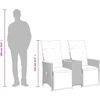 Atlošiama sodo sofa, 2 vietų, su staliuku, pilka, polirotangas