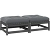 Dvivietė sodo sofa su pagalvėlėmis, smėlio spalvos, poliratanas
