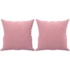 Dvivietė sofa su pagalvėlėmis, rožinės spalvos, 120cm, aksomas