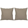 Dvivietė sofa su pagalvėmis, taupe, 120cm, mikropluošto audinys