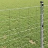 Euro tvora 1 x 10 m PVC padengta geležis