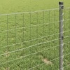Euro tvora 1,2 x 10 m PVC padengta geležis