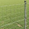 Euro tvora 1,4 x 10 m PVC padengta geležis
