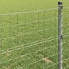 Euro tvora 1,5 x 10 m PVC padengta geležis