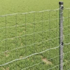 Euro tvora 1,6 x 10 m PVC padengta geležis