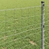 Euro tvora 1,6 x 10 m PVC padengta geležis
