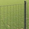 Euro tvora Pilka 1,6 x 10 m PVC padengta geležis