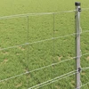 Ganyklų tvora Sidabro