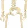 Helovino skeletas 2 vnt. Balta 85 cm PVC