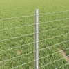 Lauko įmontuotas tvoros stulpas 5 vnt. Sidabrinė 80 cm