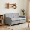 Ištraukiama sofa-lova Šviesiai pilka 154 x 94,5 x 80,5 cm