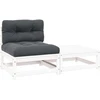 Kampinė sodo sofa iš palečių su pagalvėlėmis, impregnuota eglė