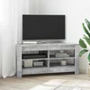 TV staliukas KampinėTVspintelė 102 x 41 x 50 cm Betono pilka