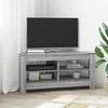 TV staliukas KampinėTVspintelė 102 x 41 x 50 cm Pilka Sonoma