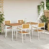 Lauko valgomojo komplektas 5 vnt. 180 x 90 x 75 cm