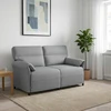 Sofa 100% poliesteris metalinis rėmas MDF, fanera
