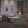 Lova su daiktų laikymo vieta ir LED Šviesiai pilka 160 x 200 cm