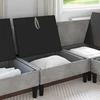 Vidurinė sofa su saugykla Šviesiai pilka Aksomas