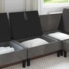 Vidurinė sofa su saugykla Tamsiai pilka Aksomas