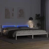 Lovos rėmas Balta 200 x 200 cm Kietos pušies mediena