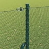 Heksagonalinė tvoros tvirtinimo sistema 10 x 1,5 m Žalia