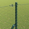 Heksagonalinė tvoros tvirtinimo sistema 100 x 1,5 m Pilka