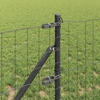 Euro tvoros žemės tvirtinimas 25 x 0,6 m PVC dengtas plienas