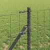 Euro tvoros žemės tvirtinimas 25 x 0,8 m PVC dengtas plienas