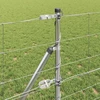 Pagrindo Suvirintas Vielos Tvora 25 x 0,8 m Sidabrinė Tinklelis