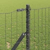 Euro tvoros žemės tvirtinimas 25 x 1 m PVC dengtas plienas
