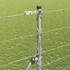 Pagrindo Suvirintas Vielos Tvora 25 x 1,4 m Sidabrinė Tinklelis
