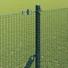 Suvirintas vielos tvora žemės tvirtinimas 25 x 1,6 m Žalia