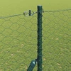 Heksagonalinė tvoros tvirtinimo sistema 25 x 1,6 m Žalia