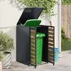 Plienas Antracitas