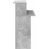 Registratūra, betono pilkas, 100x50x103,5 cm, apdirbta mediena