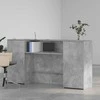 Registratūra, betono pilkas, 200x50x103,5 cm, apdirbta mediena