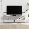 TV staliukas Sieninė televizoriaus spintelė, pilka, 100,5x30x51cm, mediena