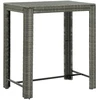Sodo baro staliukas, pilkas, 100x60,5x110,5cm, poliratanas