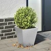 Sodo Kėdė 2 pcs Antracitas 53 x 49 x 85 cm Polipropilenas