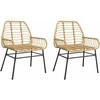 Sodo suolas Ruda 100 x 28 x 45cm Plienas