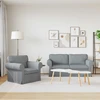Sofa 2 pcs Šviesiai pilka Metalas