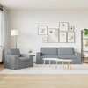 Sofa 2 pcs Šviesiai pilka Metalas