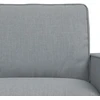 Sofa 2 pcs Šviesiai pilka Metalas