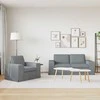 Sofa 2 pcs Šviesiai pilka Metalas